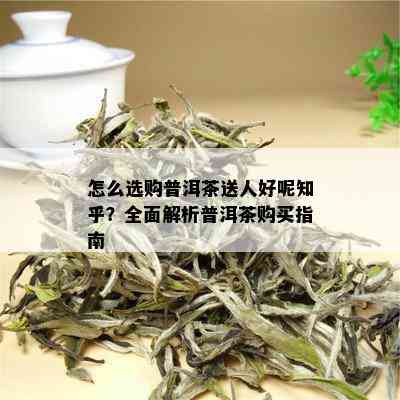 怎么选购普洱茶送人好呢知乎？全面解析普洱茶购买指南