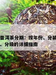 普洱茶分期：按年份、分装、分级的详细指南