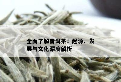 全面了解普洱茶：起源、发展与文化深度解析