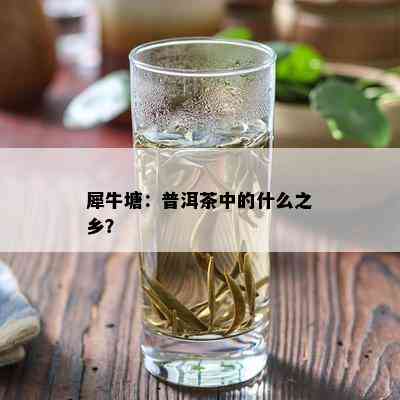 犀牛塘：普洱茶中的什么之乡？