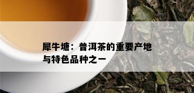 犀牛塘：普洱茶的重要产地与特色品种之一