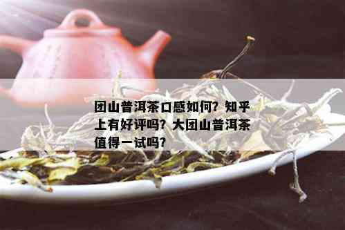 团山普洱茶口感如何？知乎上有好评吗？大团山普洱茶值得一试吗？