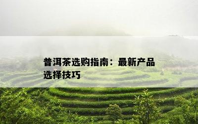 普洱茶选购指南：最新产品选择技巧