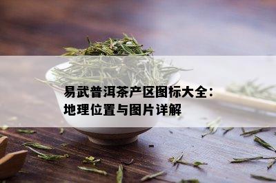 易武普洱茶产区图标大全：地理位置与图片详解