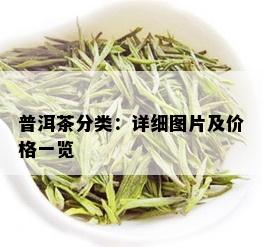 普洱茶分类：详细图片及价格一览