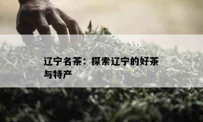 辽宁名茶：探索辽宁的好茶与特产