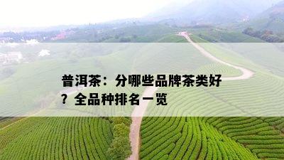 普洱茶：分哪些品牌茶类好？全品种排名一览