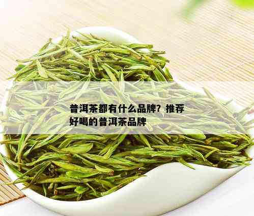 普洱茶都有什么品牌？推荐好喝的普洱茶品牌