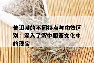 普洱茶的不同特点与功效区别：深入了解中国茶文化中的瑰宝