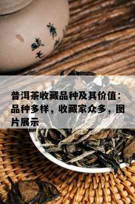 普洱茶收藏品种及其价值：品种多样，收藏家众多，图片展示