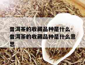 普洱茶的收藏品种是什么-普洱茶的收藏品种是什么意思