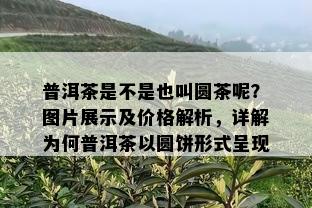 普洱茶是不是也叫圆茶呢？图片展示及价格解析，详解为何普洱茶以圆饼形式呈现