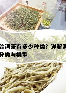 普洱茶有多少种类？详解其分类与类型