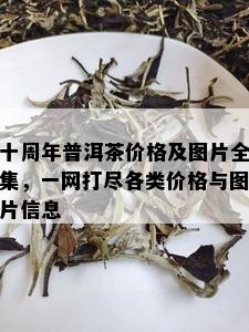 十周年普洱茶价格及图片全集，一网打尽各类价格与图片信息