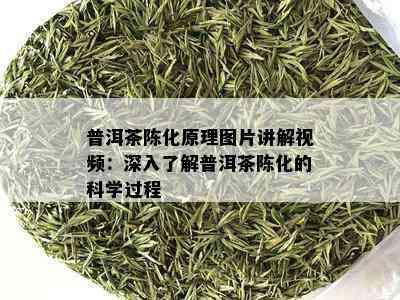 普洱茶陈化原理图片讲解视频：深入了解普洱茶陈化的科学过程