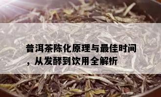 普洱茶陈化原理与更佳时间，从发酵到饮用全解析