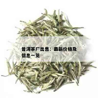 普洱茶厂出售：最新价格及信息一览