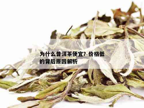 为什么普洱茶便宜？价格低的背后原因解析