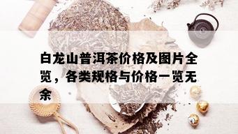 白龙山普洱茶价格及图片全览，各类规格与价格一览无余