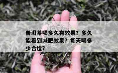 普洱茶喝多久有效果？多久能看到减肥效果？每天喝多少合适？