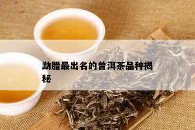 勐腊最出名的普洱茶品种揭秘