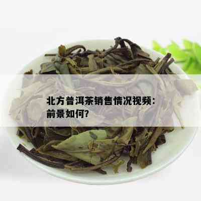 北方普洱茶销售情况视频：前景如何？