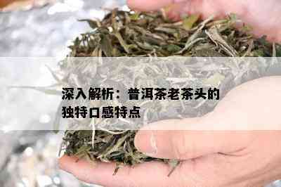 深入解析：普洱茶老茶头的独特口感特点