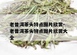 老普洱茶头特点图片欣赏-老普洱茶头特点图片欣赏大全