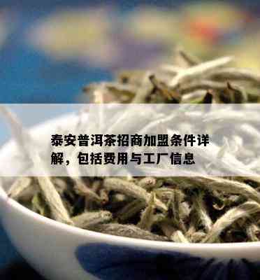 泰安普洱茶招商加盟条件详解，包括费用与工厂信息