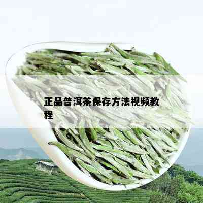 正品普洱茶保存方法视频教程