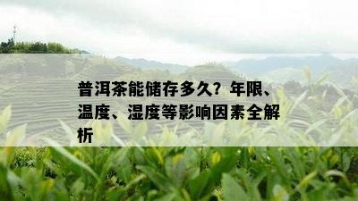 普洱茶能储存多久？年限、温度、湿度等影响因素全解析