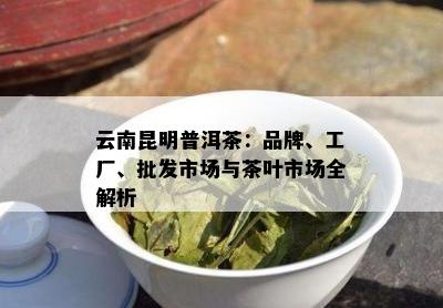 云南昆明普洱茶：品牌、工厂、批发市场与茶叶市场全解析