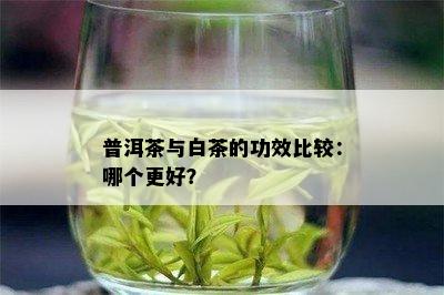 普洱茶与白茶的功效比较：哪个更好？