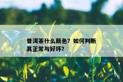 普洱茶什么颜色？如何判断其正常与好坏？