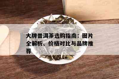 大牌普洱茶选购指南：图片全解析、价格对比与品牌推荐