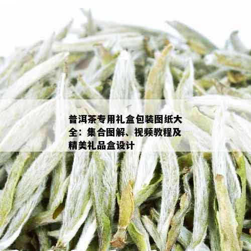 普洱茶专用礼盒包装图纸大全：集合图解、视频教程及精美礼品盒设计