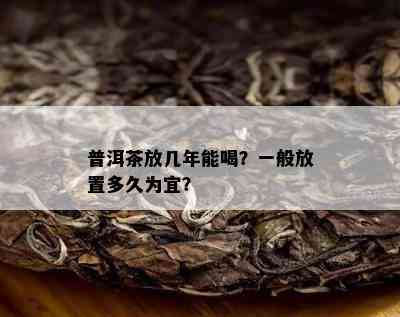 普洱茶放几年能喝？一般放置多久为宜？