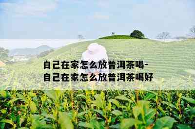 自己在家怎么放普洱茶喝-自己在家怎么放普洱茶喝好