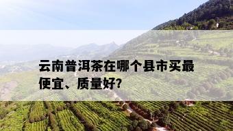 云南普洱茶在哪个县市买更便宜、质量好？