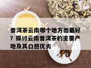 普洱茶云南哪个地方出更好？探讨云南普洱茶的主要产地及其口感优劣