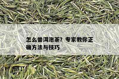 怎么普洱泡茶？专家教你正确方法与技巧