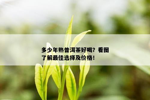 多少年熟普洱茶好喝？看图了解更佳选择及价格！