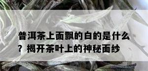 普洱茶上面飘的白的是什么？揭开茶叶上的神秘面纱