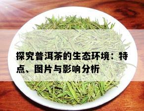 探究普洱茶的生态环境：特点、图片与影响分析