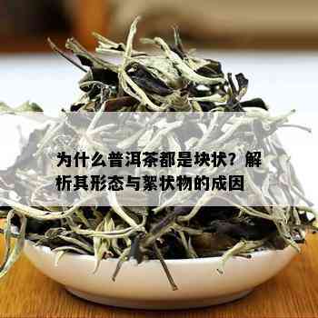 为什么普洱茶都是块状？解析其形态与絮状物的成因