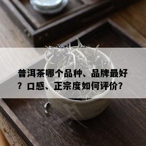 普洱茶哪个品种、品牌更好？口感、正宗度如何评价？