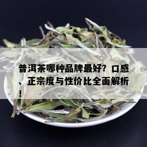 普洱茶哪种品牌更好？口感、正宗度与性价比全面解析！