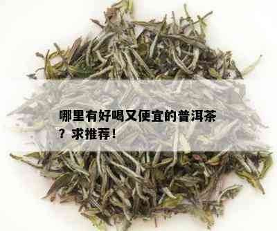 哪里有好喝又便宜的普洱茶？求推荐！