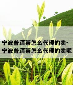 宁波普洱茶怎么代理的卖-宁波普洱茶怎么代理的卖呢