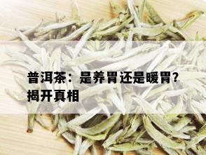 普洱茶：是养胃还是暖胃？揭开真相